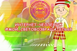 Тамбовские автоинспекторы запустили челлендж ко Дню защиты детей