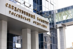 На Тамбовщине вновь возбудят дело об оскорблении полицейских