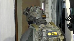 ФСБ задержала жителя Тамбовской области, сотрудничавшего с  украинской разведкой