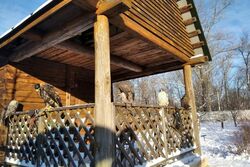 В Мичуринске создают центр помощи хищным птицам