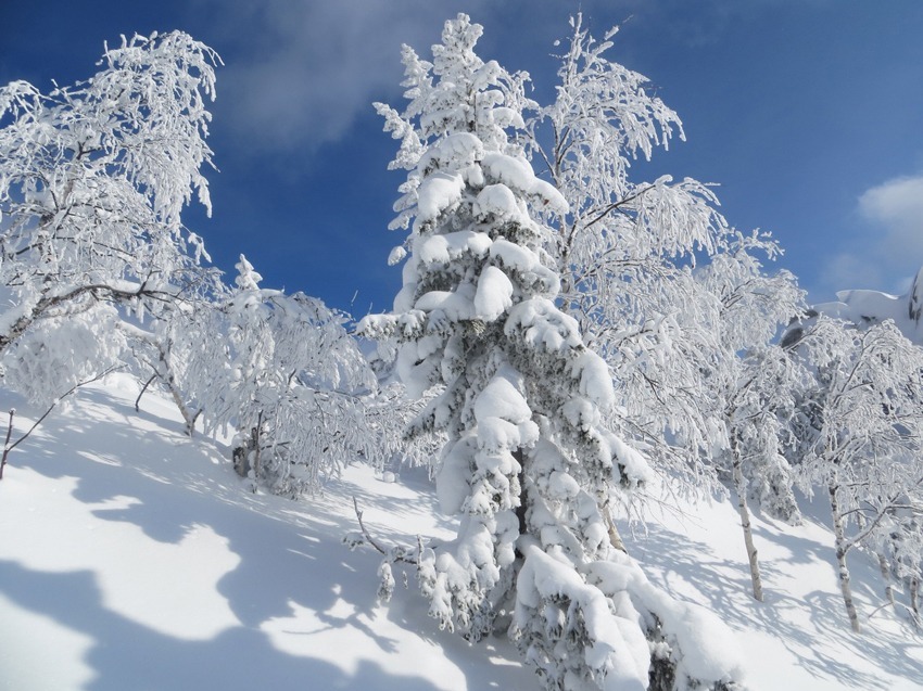 Зимние пейзажи Южного Урала