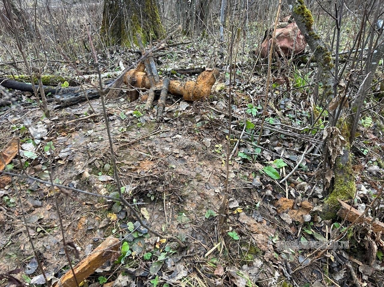 Снимки с места раскопок