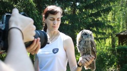 Мичуринские орнитологи получили президентский грант на спасение хищных птиц