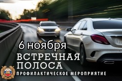 На Тамбовщине 6 ноября состоится профилактическая акция «Встречная полоса»