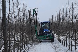 В Тамбовской области приступили к обрезке садов на площади более 2,3 тысячи гектаров