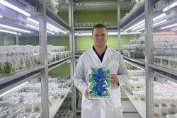 В Мичуринске выведен новый южный сорт жимолости «Абхазия»