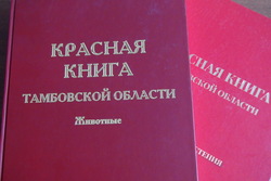 В Тамбовской области переиздадут региональную Красную книгу