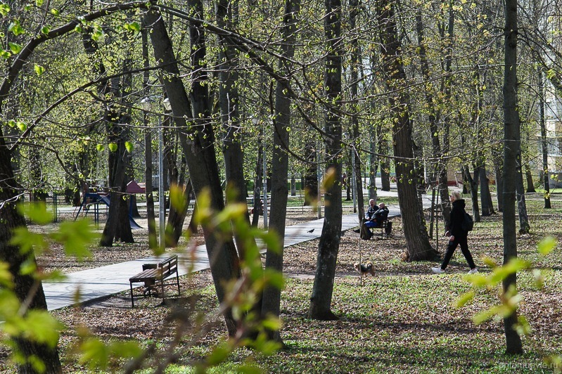 Парк «Пионерский»: в Тамбове продолжается голосование за объекты благоустройства