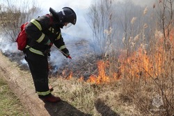 Пожароопасный сезон объявлен в Тамбовской области с 15 апреля