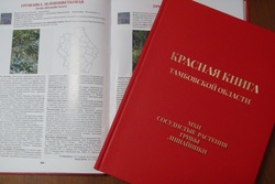 Экологи передали тамбовским библиотекам 300 экземпляров нового издания Красной книги