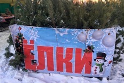Ёлочные базары в Тамбове начнут работать 15 декабря