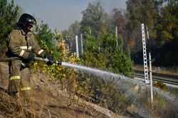 Вблизи тамбовского Тригуляя огонь локализован на площади 740 га