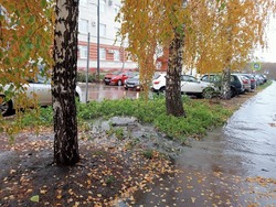 Из-под люка на Лермонтовской канализационные воды потекли в Цну