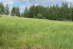 В Моршанском округе по программе "Дорога к дому всей семьей" появится многофункциональный парк