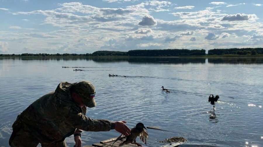 Шушпанское водохранилище карта