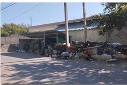 Власти Тамбова и области основательно взялись за очистку площадок от мусора