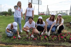 Годовщину «Движения первых» на Тамбовщине отмечают высадкой цветов