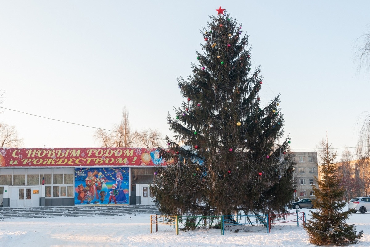 Главная ёлка Тамбовского района, она находится в посёлке Строитель. Хвойное дерево украшают гирлянды и новогодние шары. 