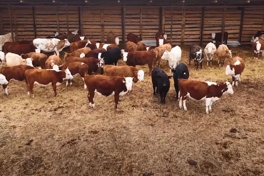 Презентация кфх на получение гранта