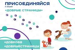 Тамбовчане могут сдать макулатуру и помочь животным из приютов
