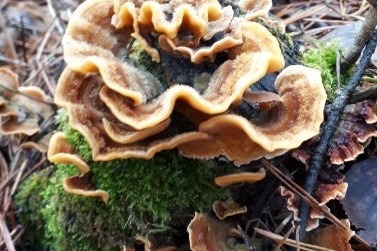 Фото: Наталия Служеникина