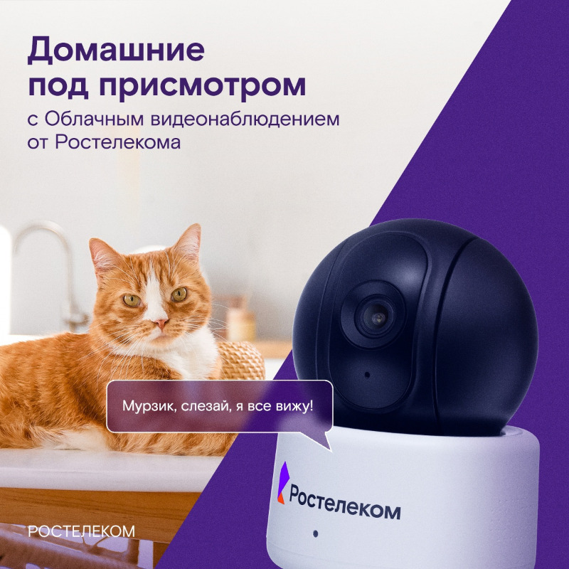 Учебно-методическое пособие. Всего одиннадцать! или шуры-муры в пятом «д» виктория ледерман книга. Классный руководитель в современной школе. Пособия для библиотекарей. Пособия для педагогов и классных руководителей.