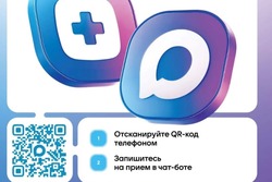 Жители Тамбовской области могут записаться к врачу через мессенджер МАХ