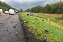 В Тамбовской области столкнулись микроавтобусы: пять человек погибли