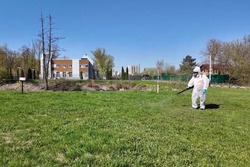 В Тамбове начали обработку общественных пространств от клещей 