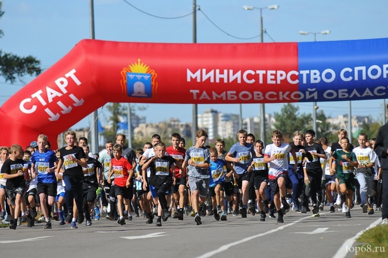 Кросс нации 2025 березовский. Кросс нации 2025 березовский