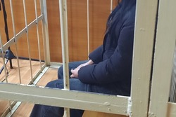 Суд заключил под стражу 17-летнюю девушку, избивавшую посетителей ТРЦ в Тамбове