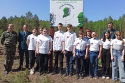 Пичаевские школьницы изучают лесное дело во Всероссийском центре «Орленок»