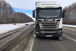 С двумя грузовиками столкнулась  «Лада» в Мордовском районе, пострадал водитель легковушки
