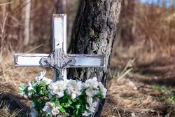 В Тамбове оцифровали 15 тысяч мест захоронений