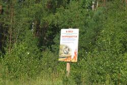 Для борьбы с лесными пожарами в Тамбовской области закупят технику на 13,5 млн. рублей