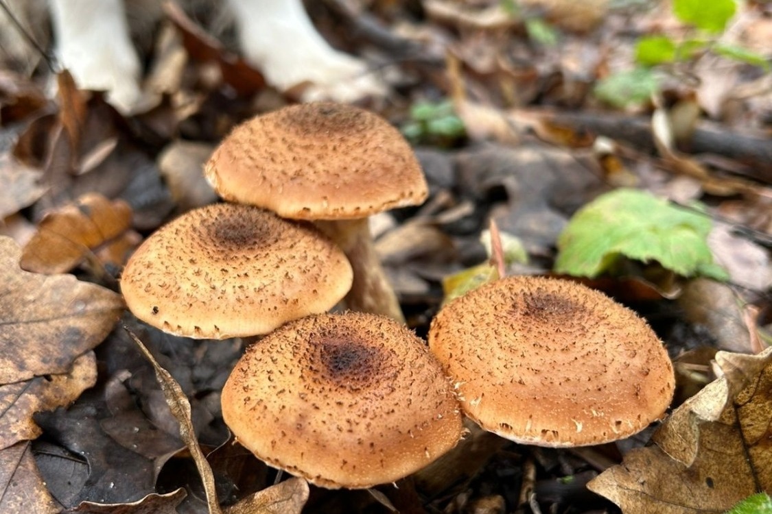 Фото: Артем  Сукаленко 