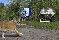 День выборов у Волчков «на куличках»