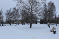 Семейный парк благоустроят в посёлке Дмитриевка 
