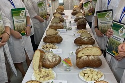 В Мичуринске на Дне садовода представят инновационный полезный хлеб