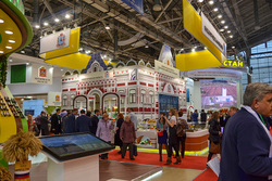 Тамбовская экспозиция на выставке «Золотая осень-2019» будет оформлена в виде Дома - музея Мичурина