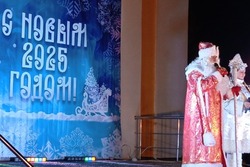 Тамбовчане активно и с песнями отметили Новый год у «Мира» 