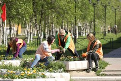 Более 1,5 тысячи тамбовчан смогут трудоустроиться на общественные работы в этом году