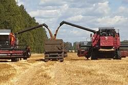 В Тамбовской области собрано 40 процентов урожая зерна