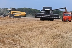 Староюрьевские аграрии завершают год с новыми рекордами