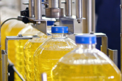 Тамбовская область увеличит производство растительного масла в этом году