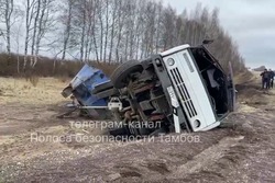 В Тамбовской области слетела в кювет фура с рапсом