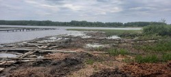 В Бондарском округе ищут виновных в экологическом бедствии на водохранилище