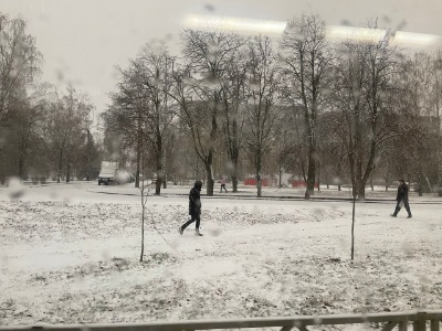 В Тамбов приходят снегопады