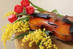 В Тамбове выступил скрипач-виртуоз мирового уровня