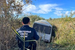 В Мичуринском округе автобус слетел с трассы в кювет 